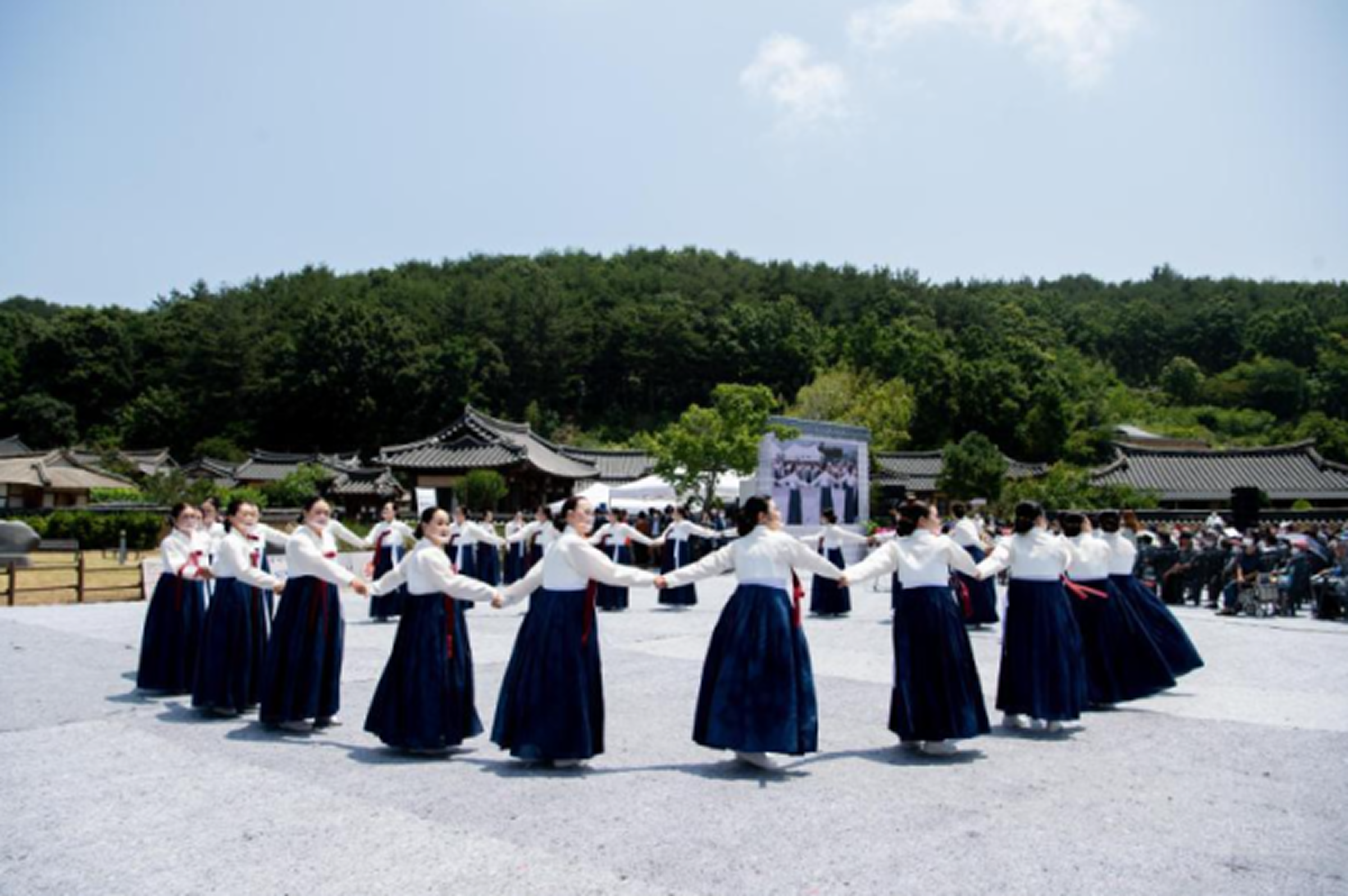 영덕 월월이청청